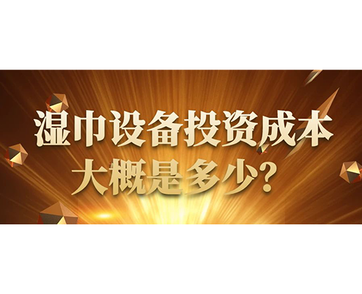 濕巾設(shè)備投資成本大概是多少？
