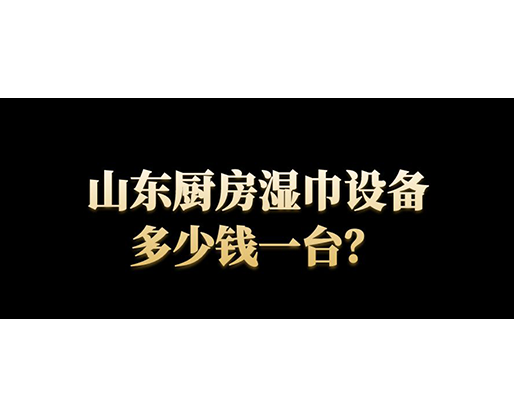 山東廚房濕巾設(shè)備多少錢一臺(tái)？