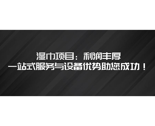 濕巾項(xiàng)目：利潤(rùn)豐厚，一站式服務(wù)與設(shè)備優(yōu)勢(shì)助您成功！