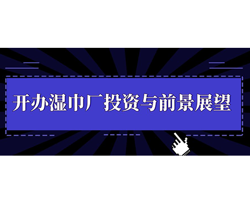 開(kāi)辦濕巾廠投資與前景展望